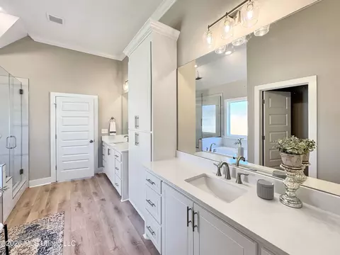 Bath - 913 Brunswick Ct, Flowood, MS 39232 photo 2 of 5