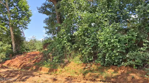 Gray Academy Road, Ashland, MS 38603 photo 3