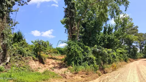 Gray Academy Road, Ashland, MS 38603 photo 2