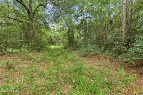 0 Yankee Town Rd, Saucier, MS 39574 photo 2