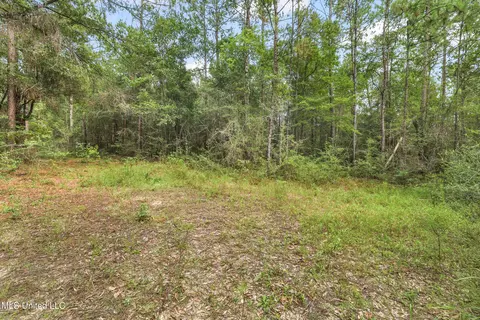 0 Yankee Town Rd, Saucier, MS 39574 photo 3