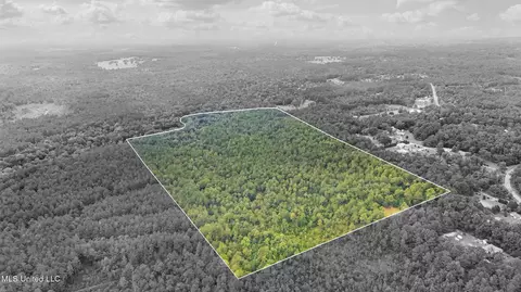 0 Yankee Town Rd, Saucier, MS 39574 photo 16