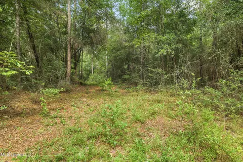 0 Yankee Town Rd, Saucier, MS 39574 photo 4