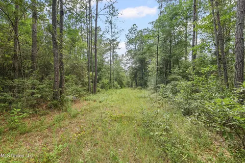 0 Yankee Town Rd, Saucier, MS 39574