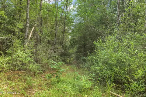 0 Yankee Town Rd, Saucier, MS 39574 photo 5