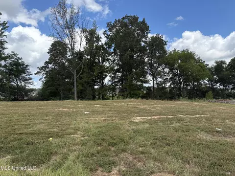 John Thomas Cove, Hernando, MS 38632 photo 2