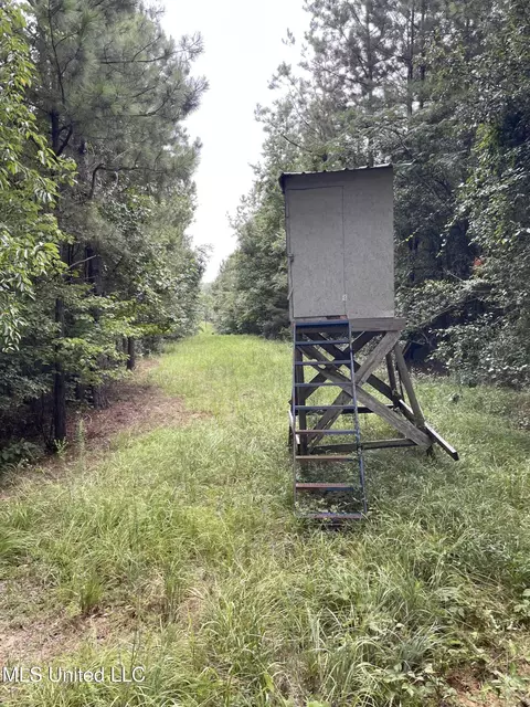 1501 Mooney Rd, Carthage, MS 39051 photo 9