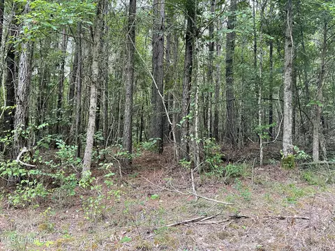 1501 Mooney Rd, Carthage, MS 39051 photo 8