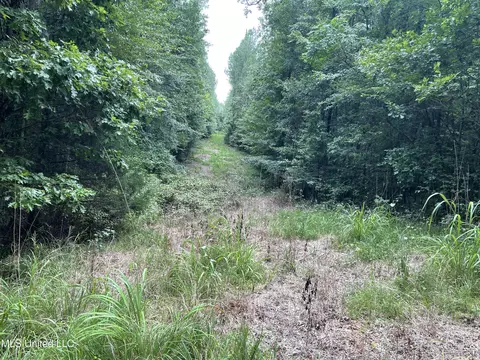 1501 Mooney Rd, Carthage, MS 39051 photo 10