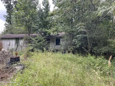 1501 Mooney Rd, Carthage, MS 39051 photo 14