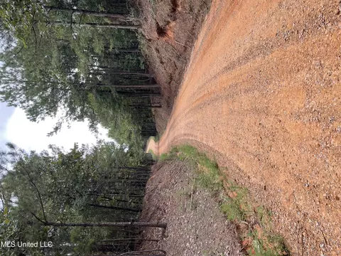 1501 Mooney Rd, Carthage, MS 39051