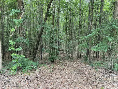 1501 Mooney Rd, Carthage, MS 39051 photo 15
