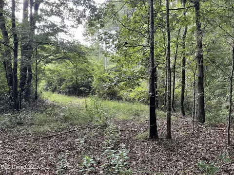 1501 Mooney Rd, Carthage, MS 39051 photo 6