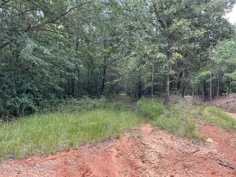 1501 Mooney Rd, Carthage, MS 39051 photo 13