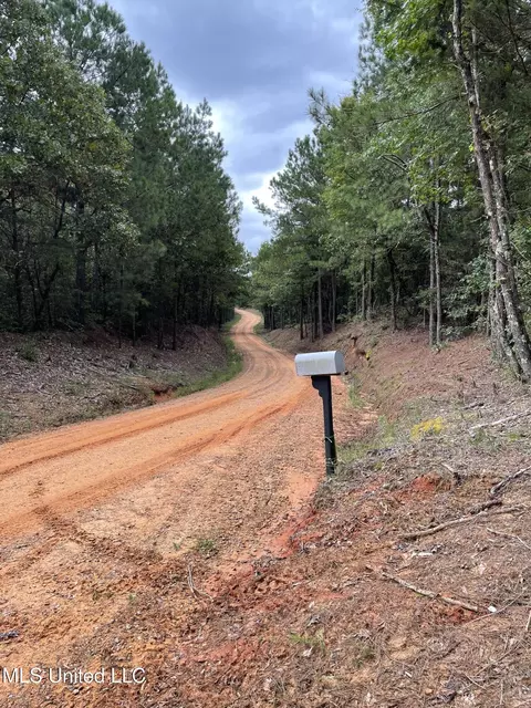 1501 Mooney Rd, Carthage, MS 39051 photo 12