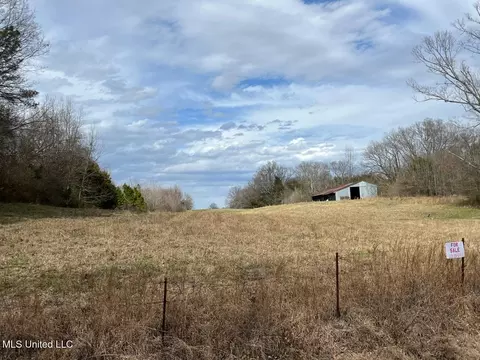 207 Wallace Dr, Coldwater, MS 38618