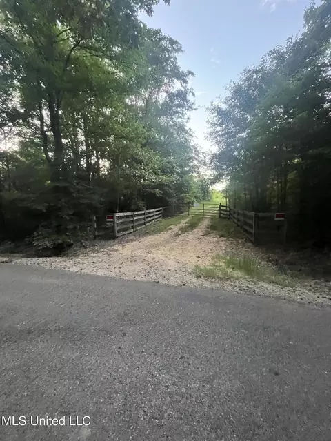 207 Wallace Dr, Coldwater, MS 38618 photo 4