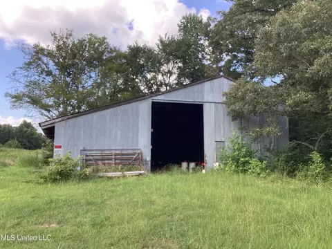 207 Wallace Dr, Coldwater, MS 38618 photo 6