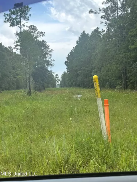 Presley Road, Moss Point, MS 39562 photo 4