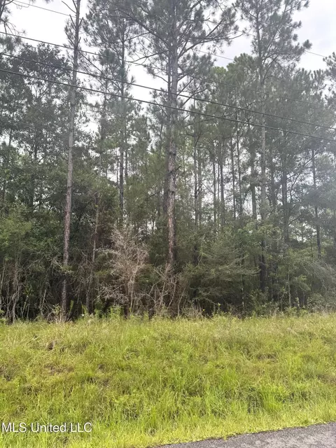 Presley Road, Moss Point, MS 39562 photo 2