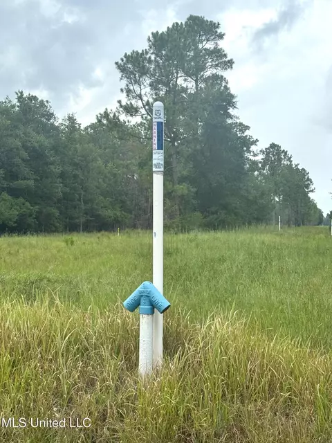 Presley Road, Moss Point, MS 39562 photo 3