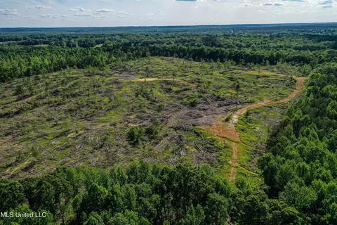 001 County Road 433, Thaxton, MS 38871 photo 13