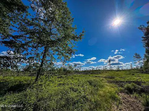 001 County Road 433, Thaxton, MS 38871 photo 18