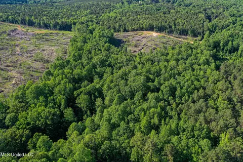 001 County Road 433, Thaxton, MS 38871 photo 38