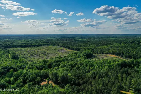001 County Road 433, Thaxton, MS 38871 photo 40