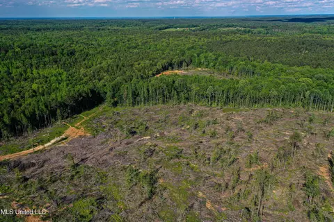 001 County Road 433, Thaxton, MS 38871 photo 31