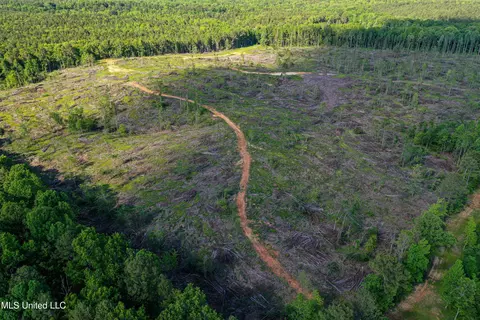001 County Road 433, Thaxton, MS 38871 photo 29
