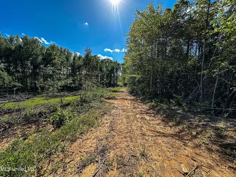 001 County Road 433, Thaxton, MS 38871 photo 14