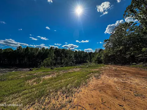 001 County Road 433, Thaxton, MS 38871 photo 12