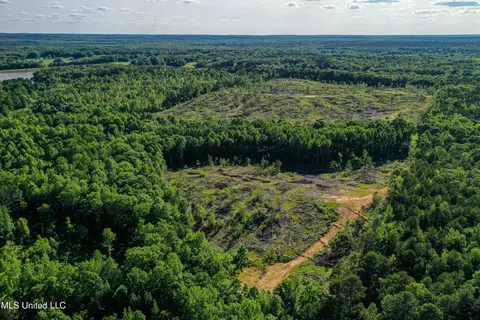 001 County Road 433, Thaxton, MS 38871 photo 41