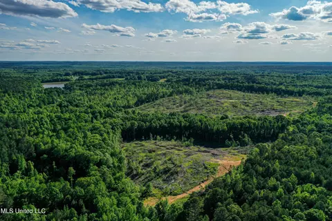 001 County Road 433, Thaxton, MS 38871 photo 42