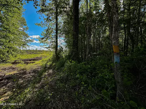001 County Road 433, Thaxton, MS 38871 photo 22