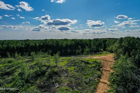 001 County Road 433, Thaxton, MS 38871 photo 4