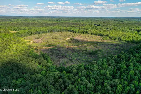 001 County Road 433, Thaxton, MS 38871 photo 19