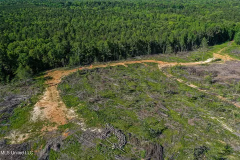 001 County Road 433, Thaxton, MS 38871 photo 35