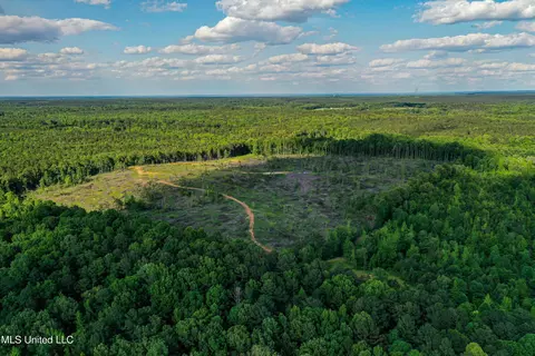 001 County Road 433, Thaxton, MS 38871 photo 27