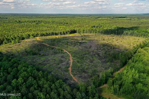 001 County Road 433, Thaxton, MS 38871 photo 25