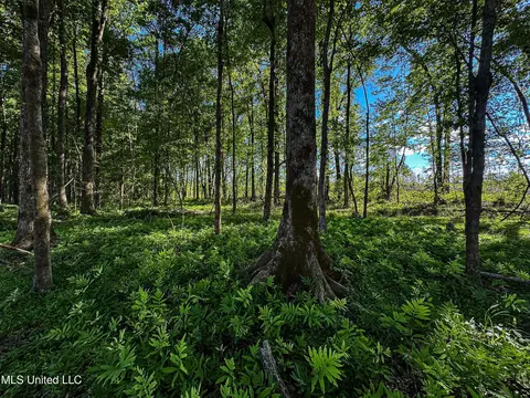 001 County Road 433, Thaxton, MS 38871 photo 34
