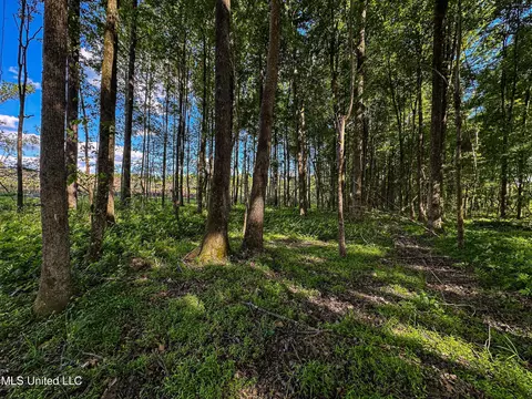 001 County Road 433, Thaxton, MS 38871 photo 7