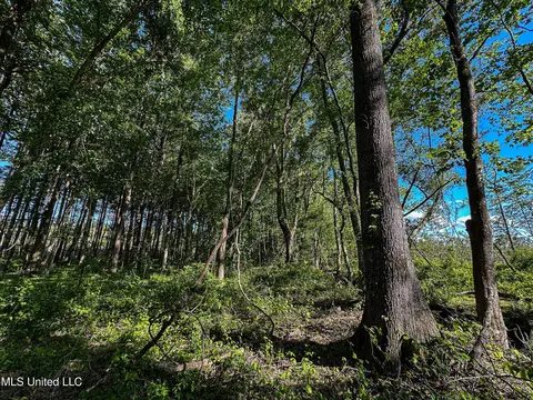 001 County Road 433, Thaxton, MS 38871 photo 30