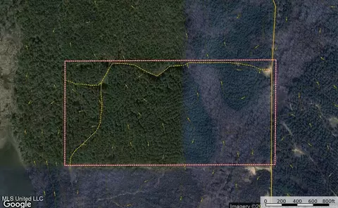 001 County Road 433, Thaxton, MS 38871 photo 2