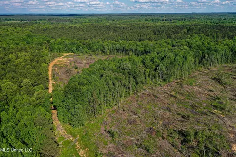 001 County Road 433, Thaxton, MS 38871 photo 37