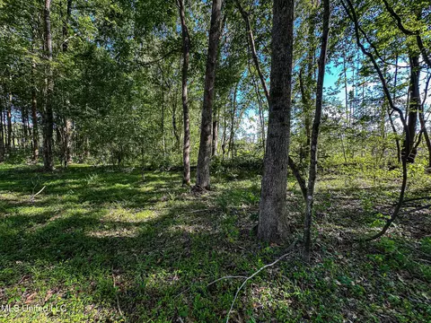 001 County Road 433, Thaxton, MS 38871 photo 28