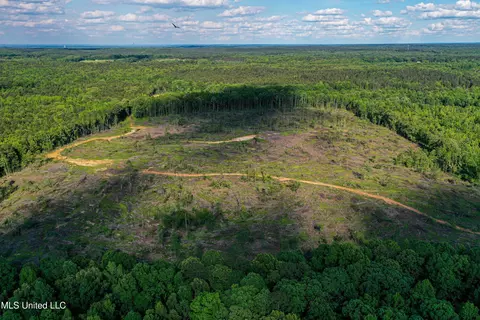 001 County Road 433, Thaxton, MS 38871 photo 23