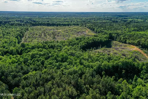 001 County Road 433, Thaxton, MS 38871