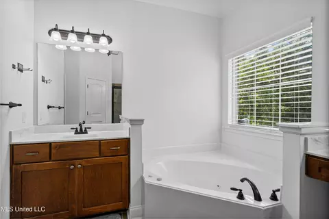 Bath - 10437 Emerald Cv, Hernando, MS 38632 photo 2 of 4